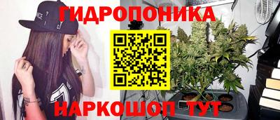 a pvp Аргун