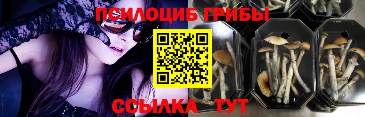 Борзя  Псилоцибиновые грибы мухоморы  Псилоцибиновые грибы ЛСД  Вход с VPN 